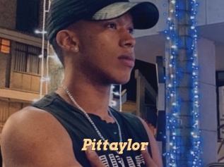 pittaylor Live Paradise