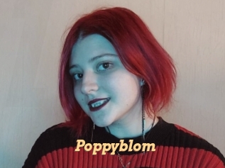 Poppyblom