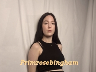 Primrosebingham