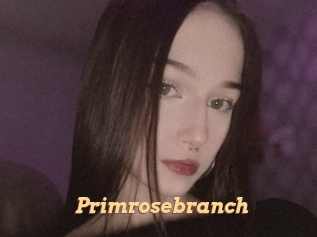 Primrosebranch