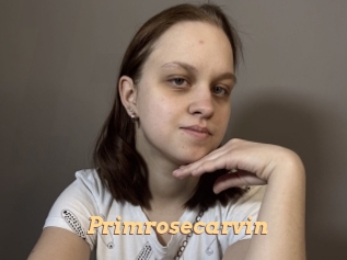 Primrosecarvin