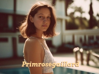 Primrosegaillard