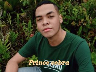 Prince_cobra
