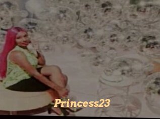 Princess23
