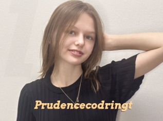 Prudencecodringt