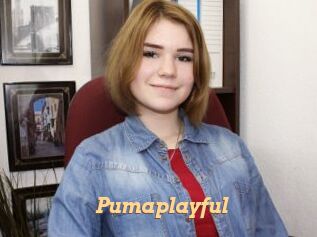 Pumaplayful