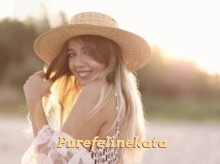 Purefelinekata
