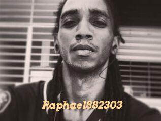 Raphael882303