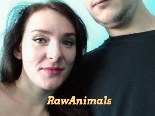 RawAnimals