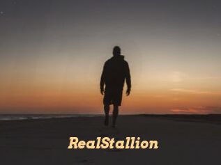 RealStallion