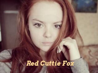 Red_Cuttie_Fox