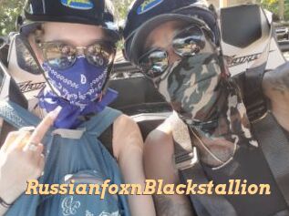 RussianfoxnBlackstallion