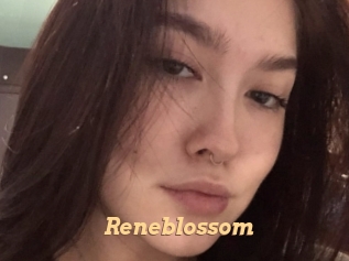 Reneblossom