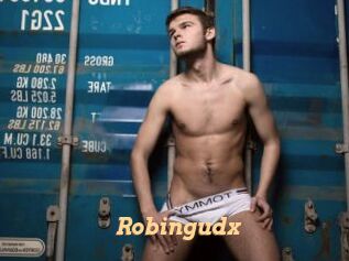 Robingudx