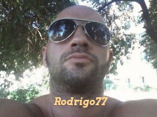 Rodrigo77