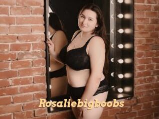 Rosaliebigboobs