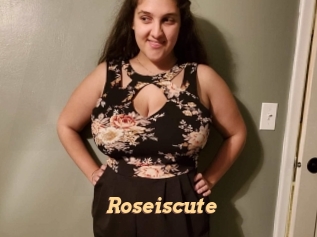 Roseiscute