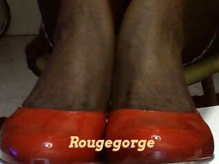 Rougegorge