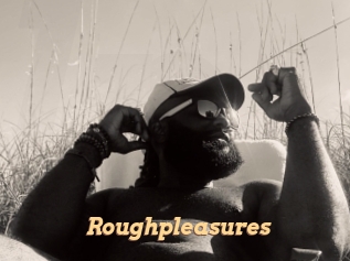 Roughpleasures