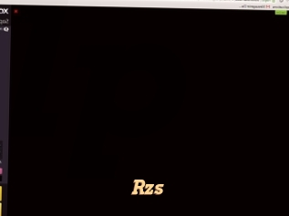 Rzs