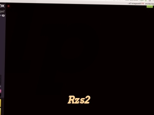 Rzs2