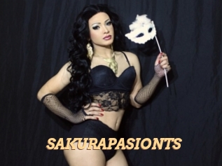 SAKURAPASIONTS Live Paradise