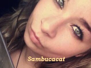 Sambucacat