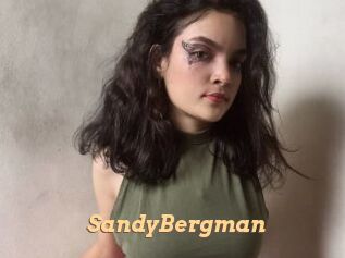 SandyBergman