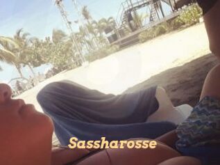 Sassharosse