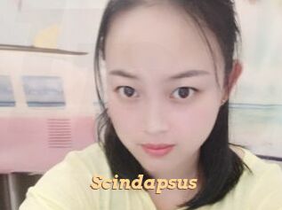Scindapsus