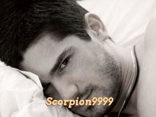 Scorpion9999 Live Paradise