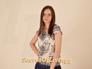 SecretOfLivingg
