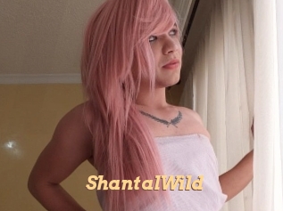ShantalWild Live Paradise