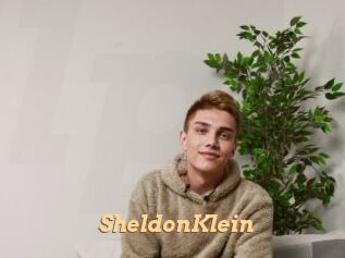 SheldonKlein