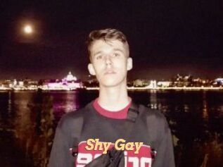 Shy_Gay