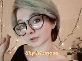 Shy_Mimosa