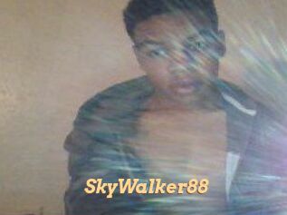 SkyWalker88