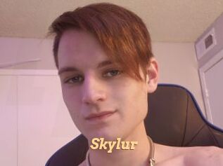 Skylur