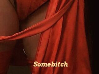Somebitch Live Paradise