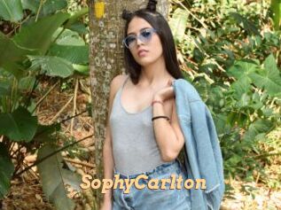 SophyCarlton Live Paradise