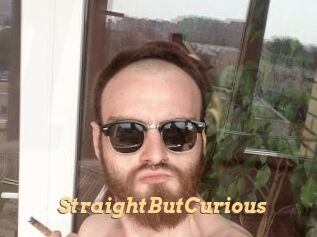StraightButCurious Live Paradise