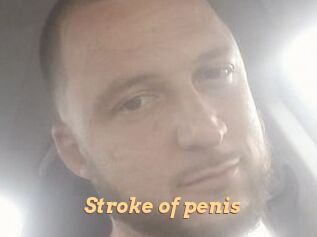 Stroke_of_penis