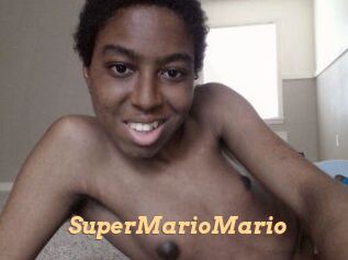 SuperMarioMario