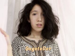 Sageteller
