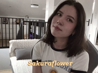 Sakuraflower