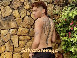 Salvatorevega