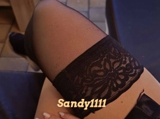 Sandy1111