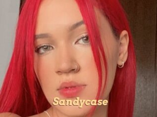Sandycase
