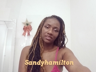 sandyhamilton Live Paradise