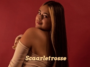 Scaarletrosse